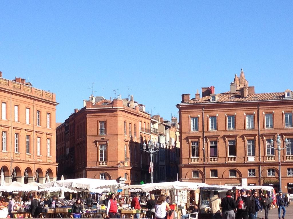Les Platanes Lägenhet Toulouse Rum bild